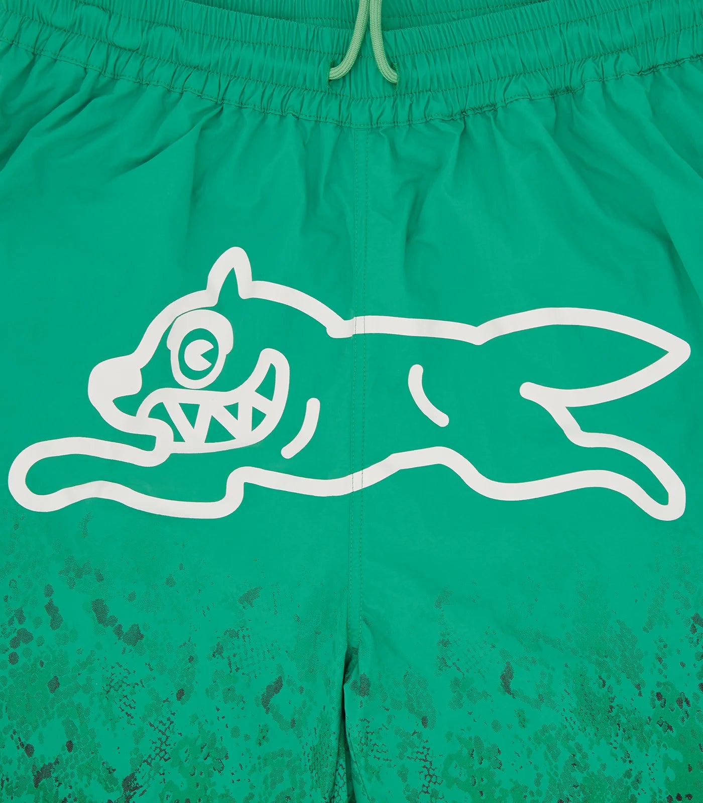 GRADIENT SNAKESKIN RUNNING DOG SWIM SHORTS - GREEN