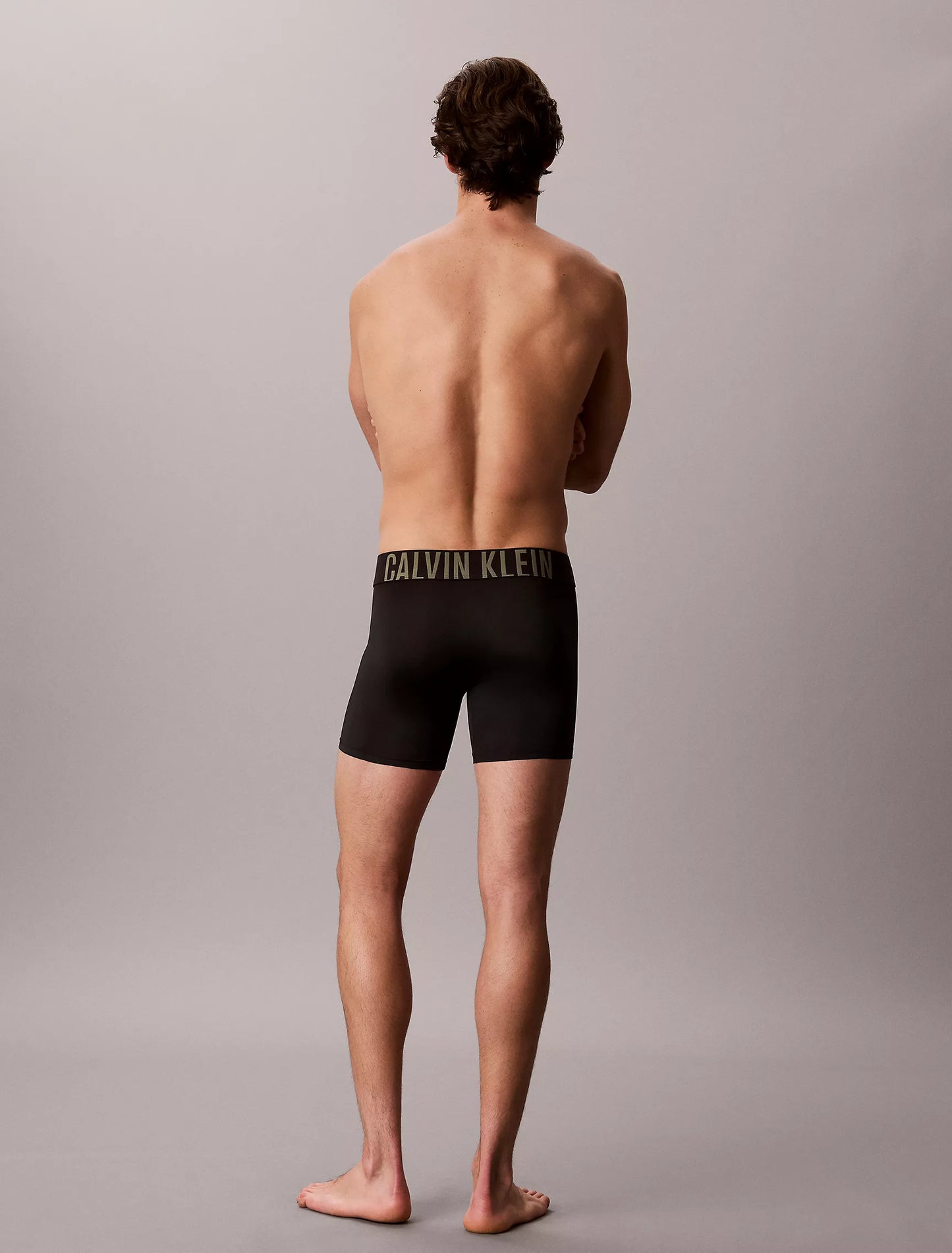 Intense Power Micro 3-Pack Boxer Brief