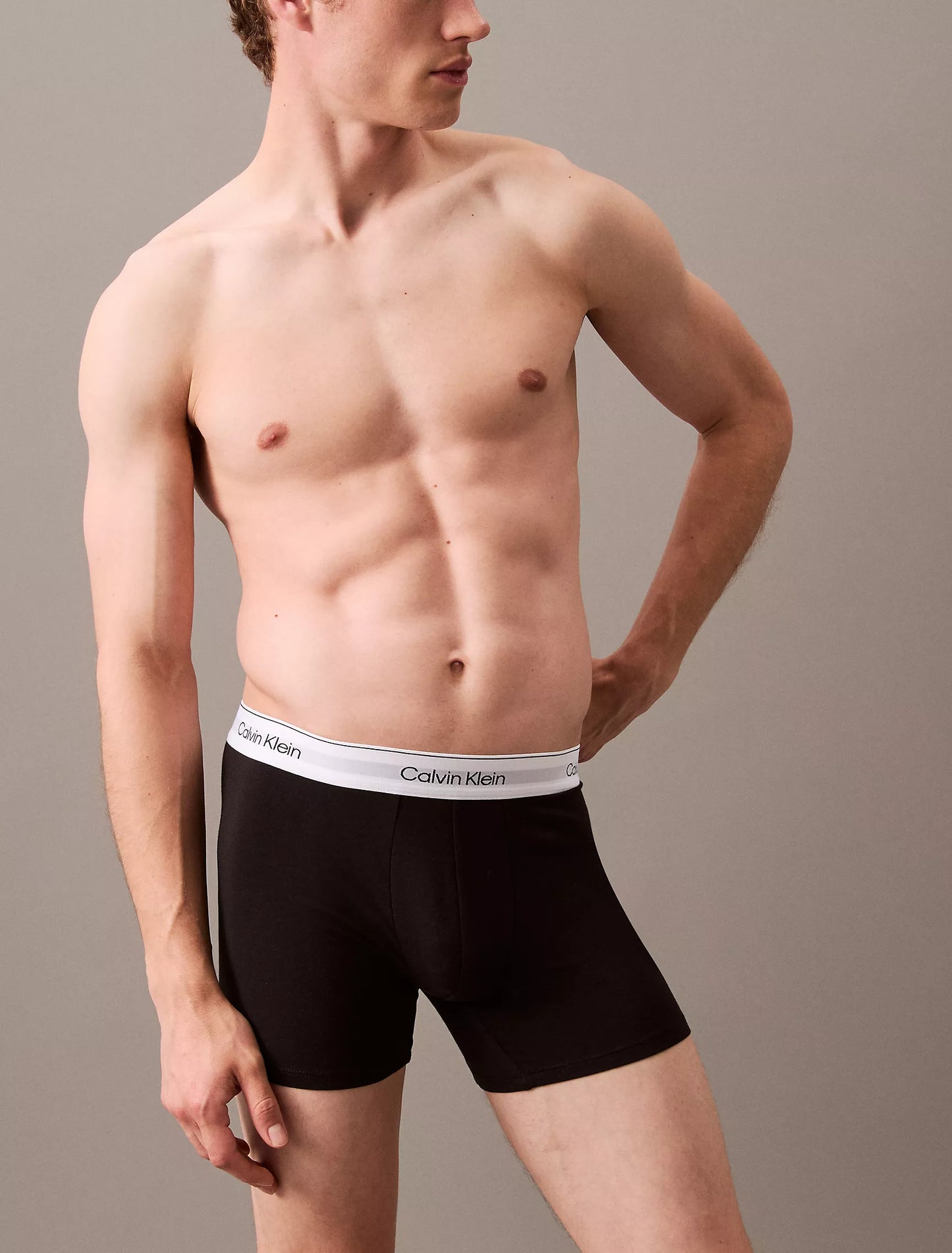 Icon Cotton Stretch 3-Pack Boxer Brief