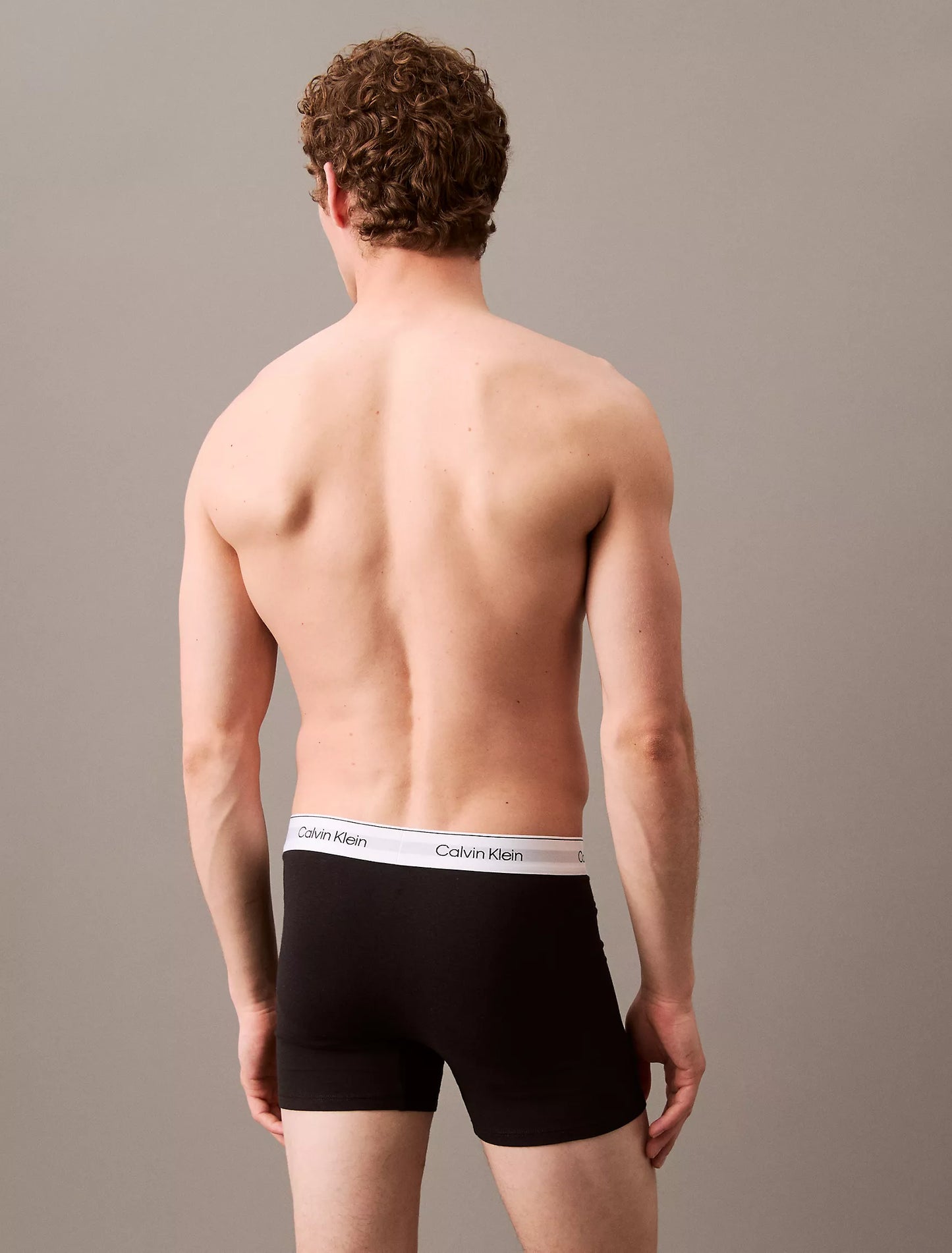 Icon Cotton Stretch 3-Pack Boxer Brief