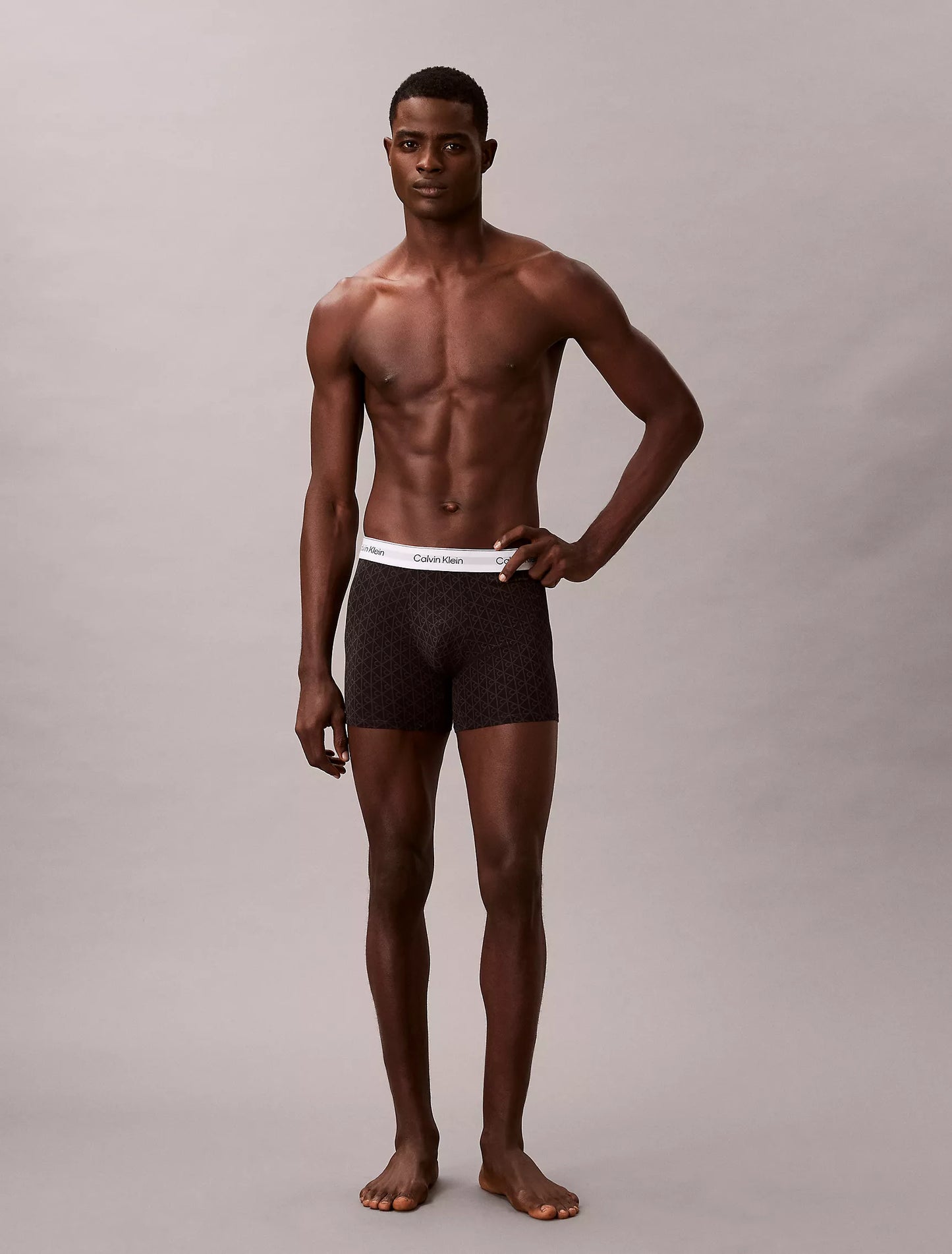 Icon Cotton Stretch 3-Pack Boxer Brief