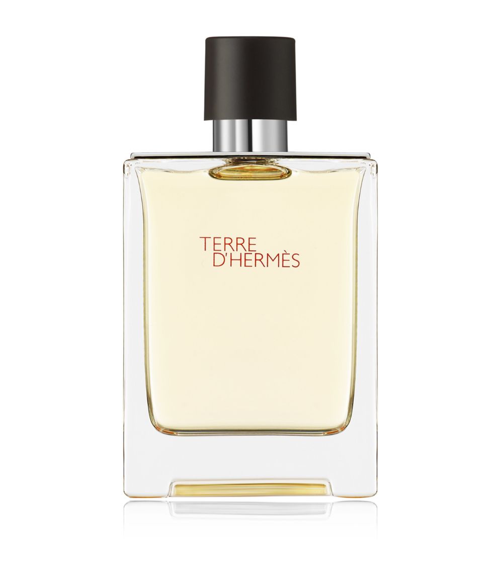 Terre d'Hermès Eau de Toilette (100ml)